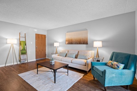 Contemporary Living Room